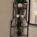 La Casa Dei Gelsomini 알라시오