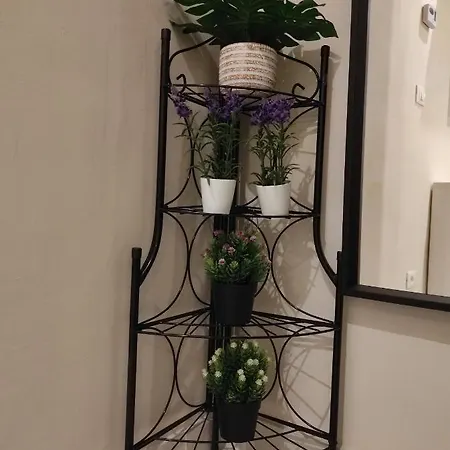 La Casa Dei Gelsomini 阿拉西奥