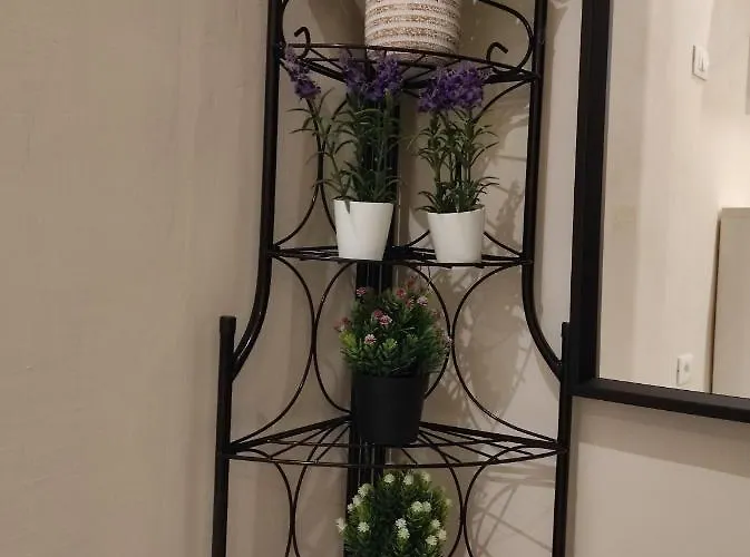 La Casa Dei Gelsomini ألاسيو